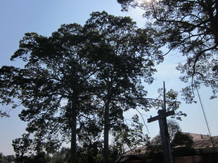 �Ҿ����...